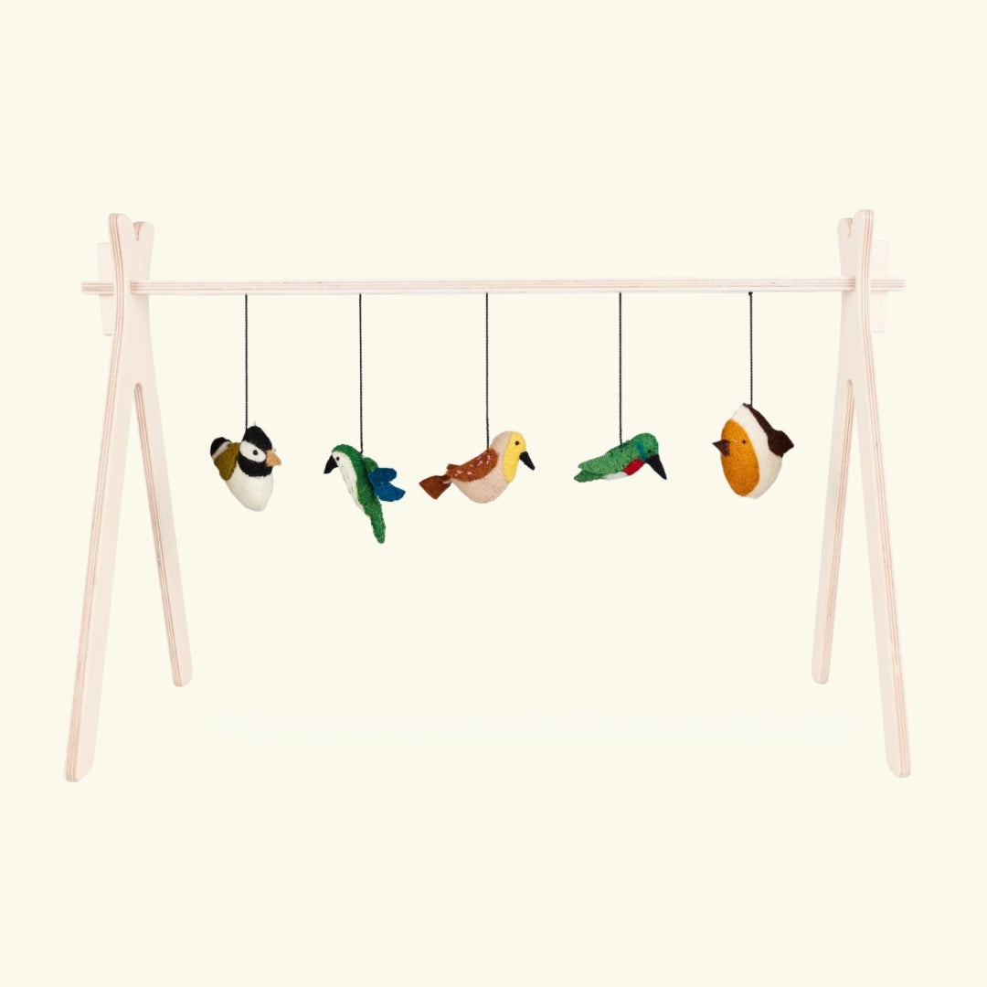 Quax activity arch with toys set, Quax mängukaar riputatavate mänguasjadega, birds, linnud