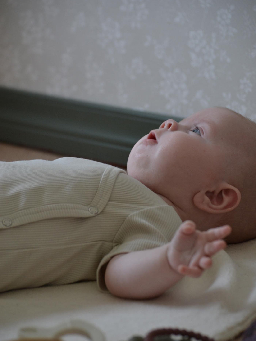 Babyluv Studio ribbed short sleeve wrap bodysuit, Babyluv Studio beebi lühikeste varrukatega hõlmikbodi, all-groups