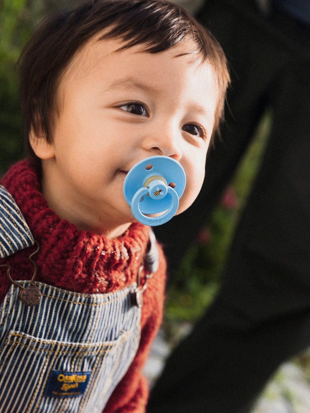 BIBS Studio Collection Colour Round Pacifiers, Urban Garden, Bumblebee Mushroom Mix, BIBS Studio Collection Colour Round kirsikujulised lutid, linnaaed, all-groups