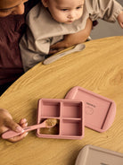 Filibabba baby food freezer tray, Filibabba beebitoidu külmutamise vormid, all-groups
