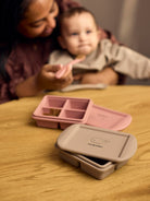 Filibabba baby food freezer tray, Filibabba beebitoidu külmutamise vormid, all-groups
