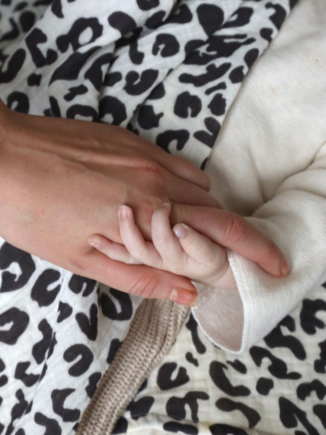 Studio Noos swaddle, muslin baby blanket, black and white Holy Cow, Studio Noos musliintekk beebitekk must-valge