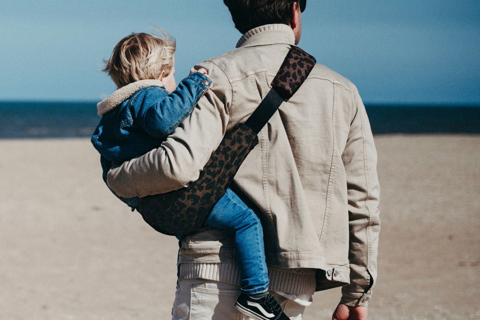wildride toddler swing carrier