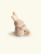 Filibabba rättle with teether bunny, Filibabba silikoonist närimisrõngaga kõristi jänku, all-groups