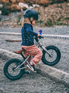 Early Rider Balance Bike Charger, Early Rider jooksuratas Charger, brushed aluminium, all-groups