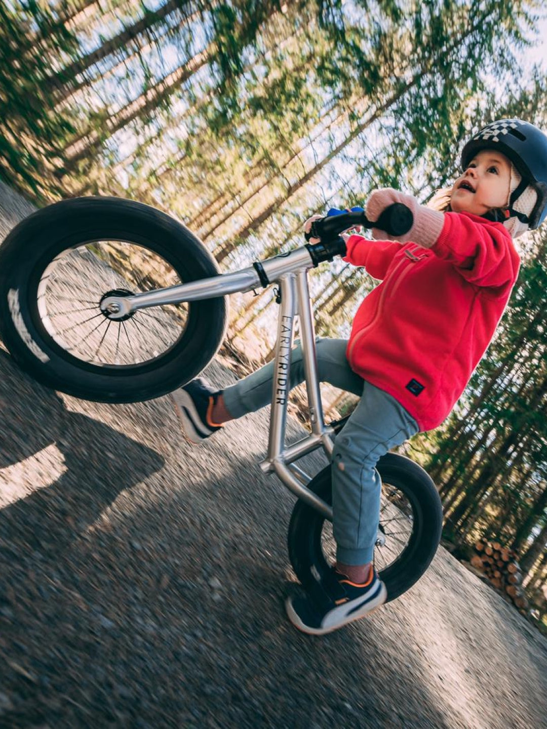 Early Rider Balance Bike Charger, Early Rider jooksuratas Charger, brushed aluminium, all-groups