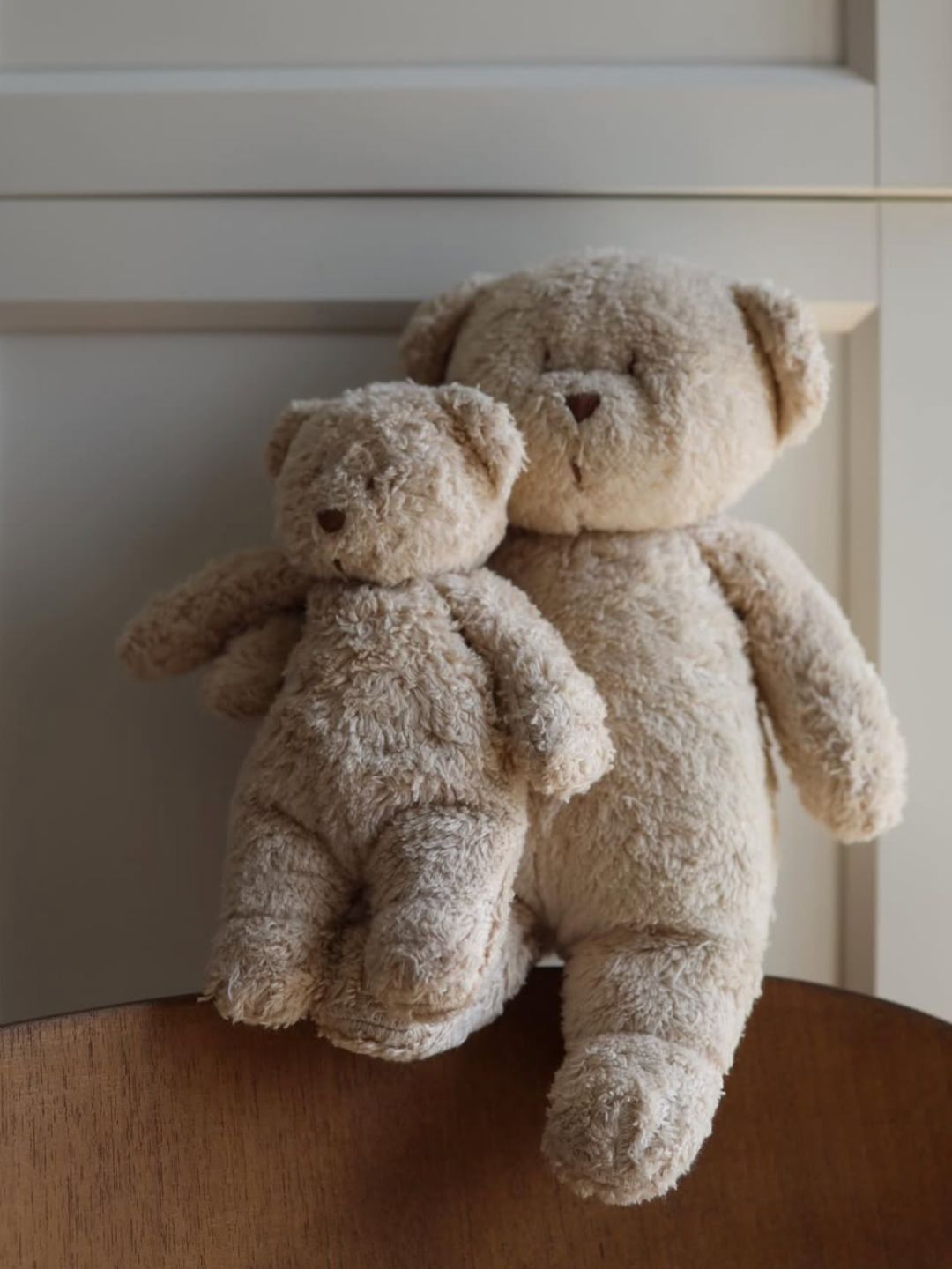 Moonie sensory little teddy, Moonie sensoorne väike kaisukaru, all-groups