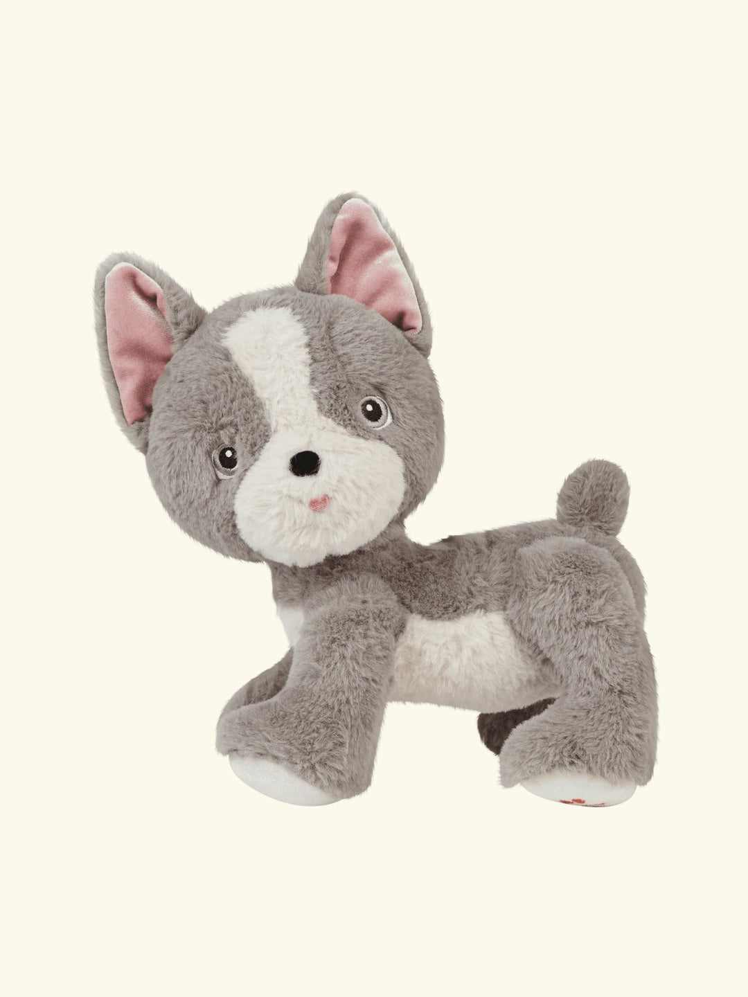 Olli Ella Dinkum Dogs Ginza, Olli Ella Dinkum koer Ginza