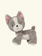 Olli Ella Dinkum Dogs Ginza, Olli Ella Dinkum koer Ginza