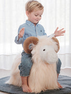 Wild&Soft bouncy Ram, Wild&Soft pehme hüppeloom jäär