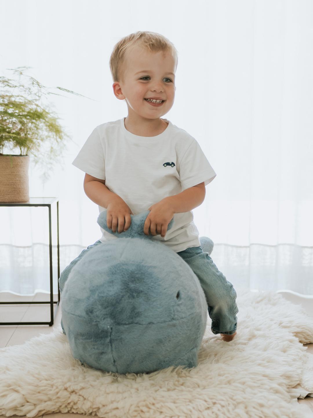 Wild& Soft soft rocker Whale, Wild&Soft pehme kiikloom vaal