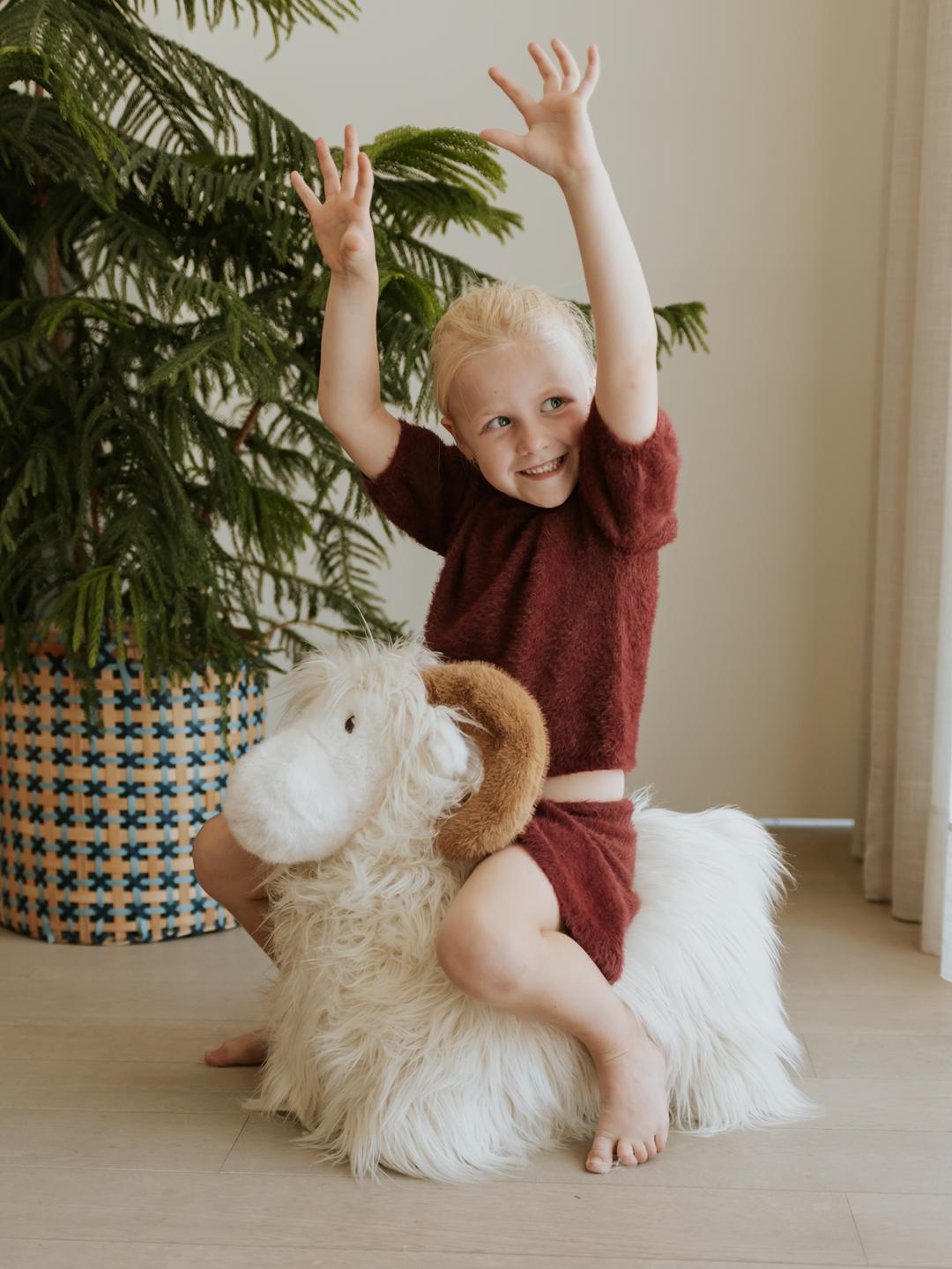 Wild&Soft bouncy Ram, Wild&Soft pehme hüppeloom jäär