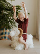 Wild&Soft bouncy Ram, Wild&Soft pehme hüppeloom jäär