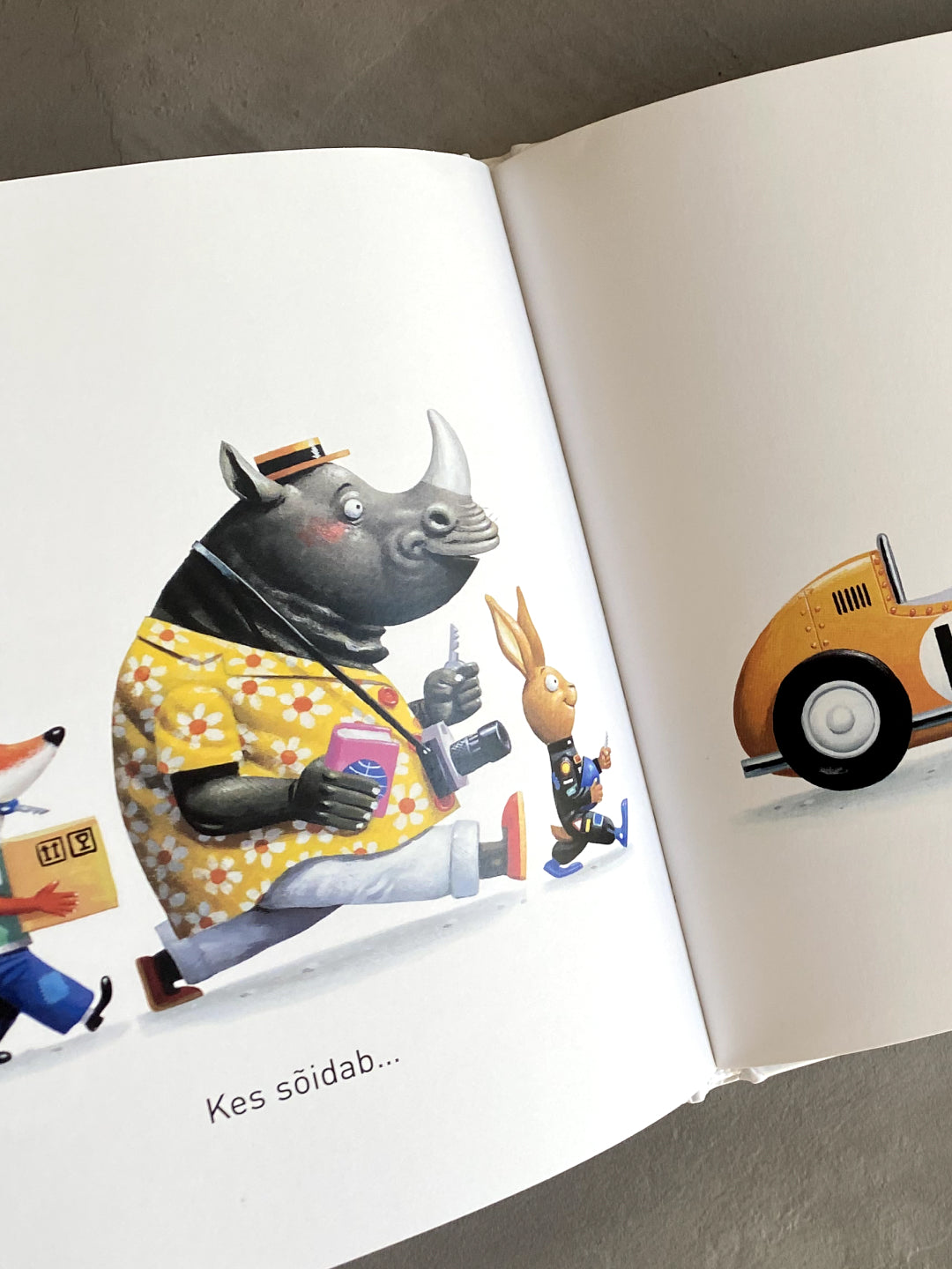 Children's book, raamat Kes sõidab